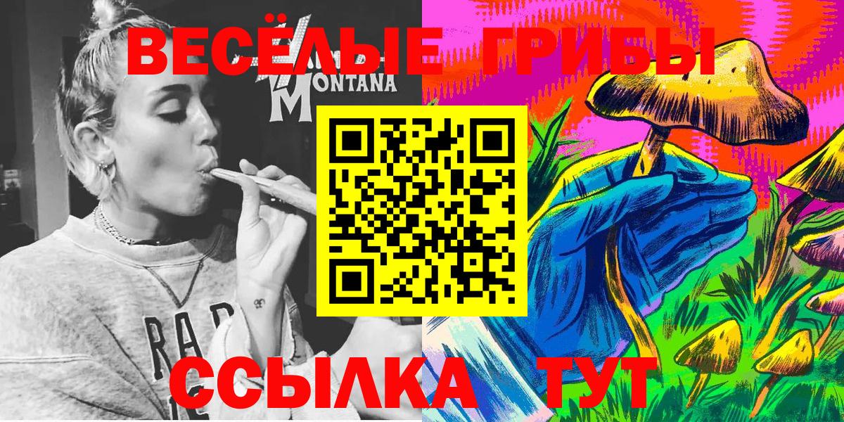 Северск  Галлюциногенные грибы Psilocybine cubensis  Вход с VPN 