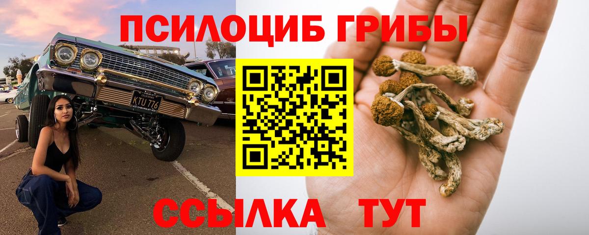 Псилоцибиновые грибы прущие грибы Северск