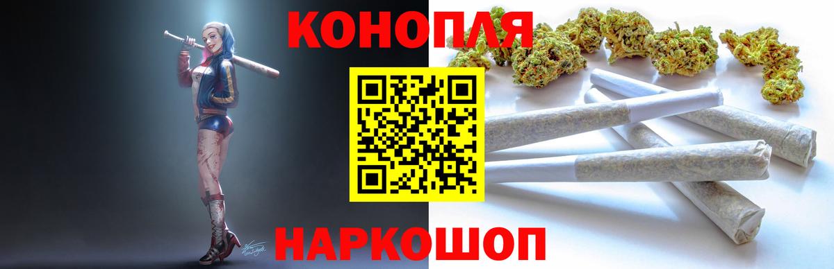 Бошки Шишки семена Северск